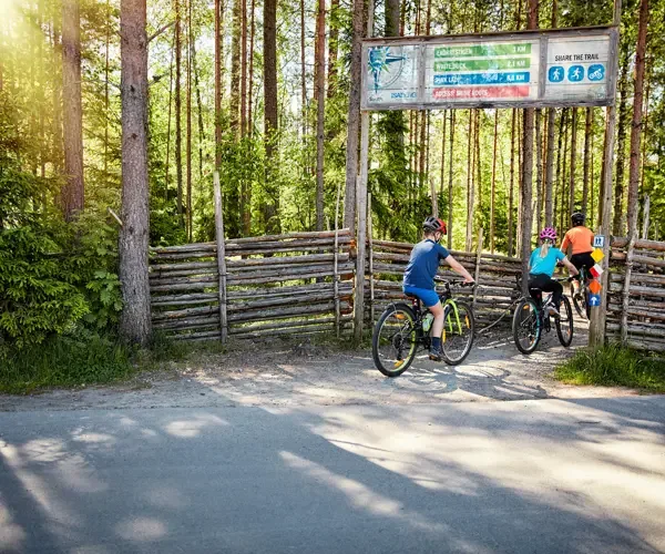 Två cyklister med hjälm vid en ledstart av trä i solig tallskog